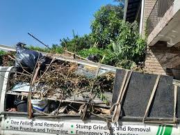 Best Residential Junk Removal  in Rosharon, TX